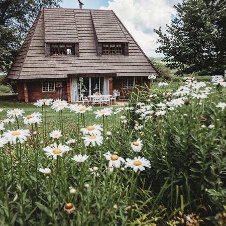 Valley Lakes Chalets アンダーバーグ エクステリア 写真